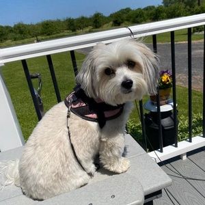 Meet your Posher, Joanne